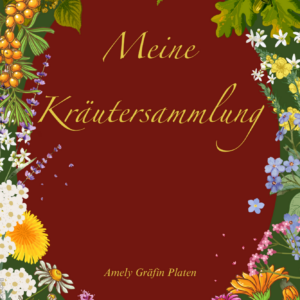 Meine Kräutersammlung