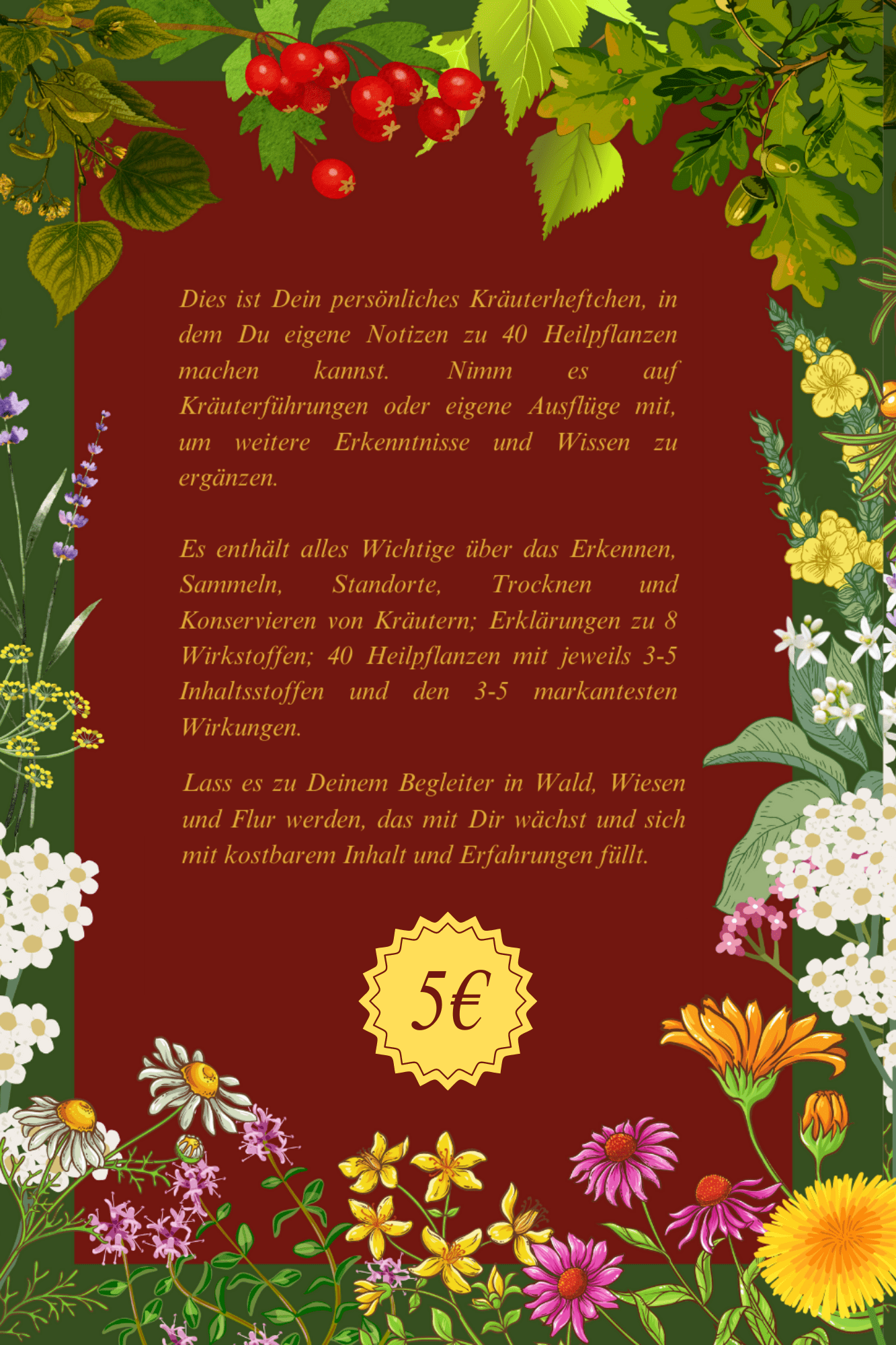 Meine Kräutersammlung – Bild 2