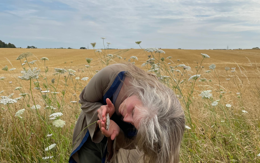 Lammas – Mondzeit – Kräuterzeit